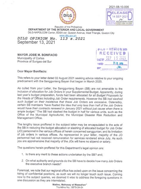 difference of casual and job order|DILG OPINION No. 113 s.2021 September 13, 2021 .